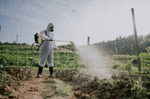 Best Commercial Pest Control Services  in Birch Run, MI