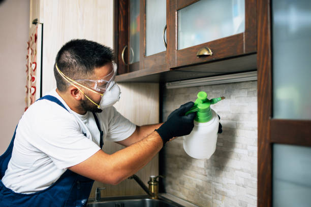 Best Bed Bug Extermination  in Birch Run, MI