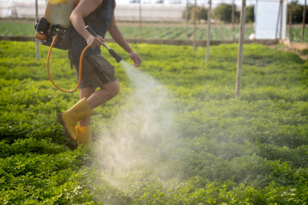 Best Mosquito Control Services  in Birch Run, MI