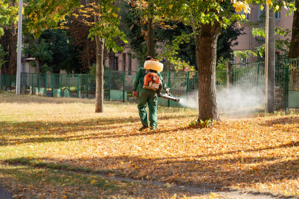Best Termite Control Services  in Birch Run, MI