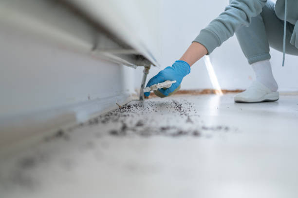 Pest Control for Restaurants in Birch Run, MI